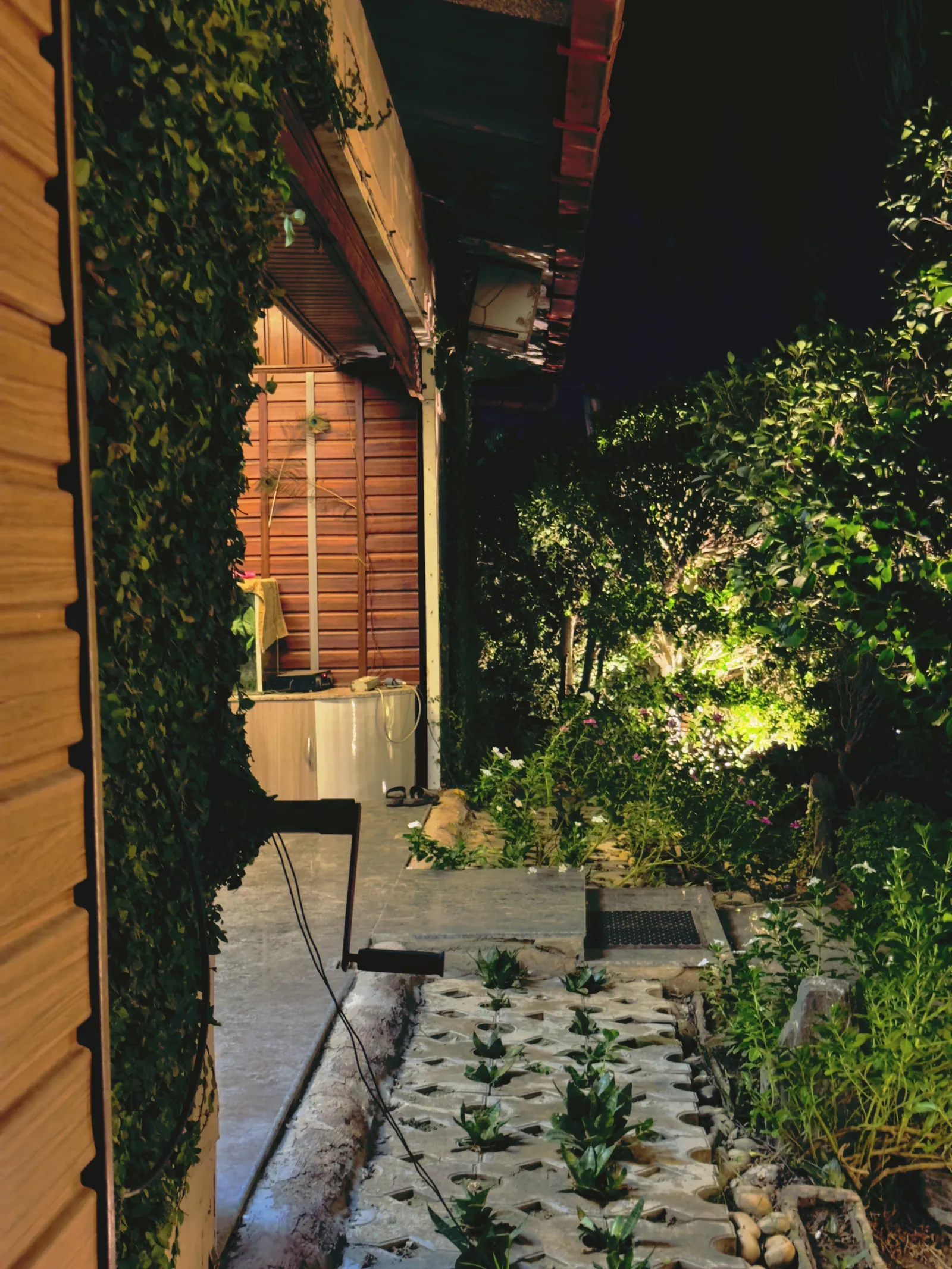 An ivy-covered wooden wall and a stone-paved path beside the farmhouse at night at Raj Organic Farm