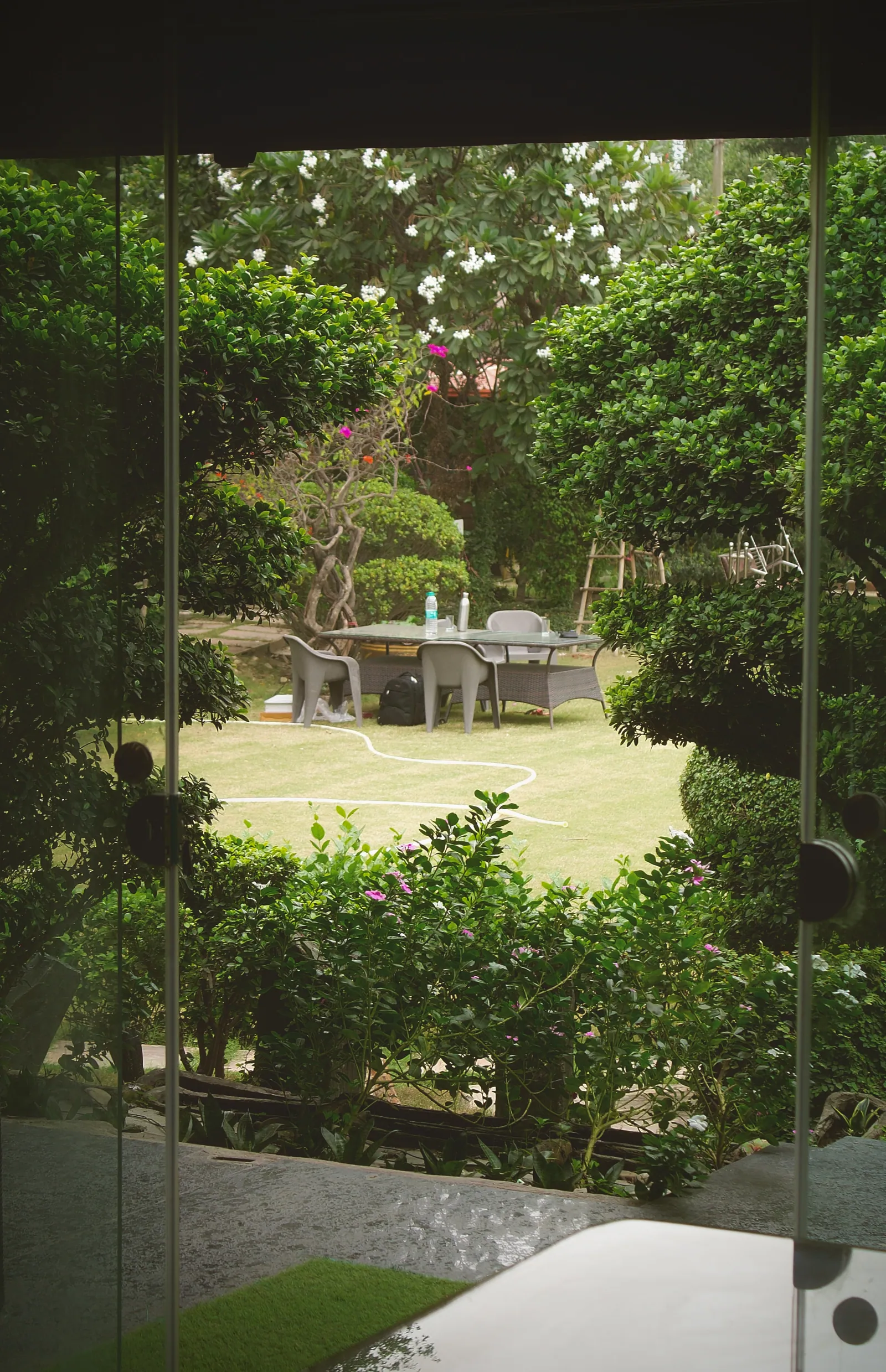The lawn and a sculpted tree seen through the glass wall of the farmhouse at Raj Organic Farm
